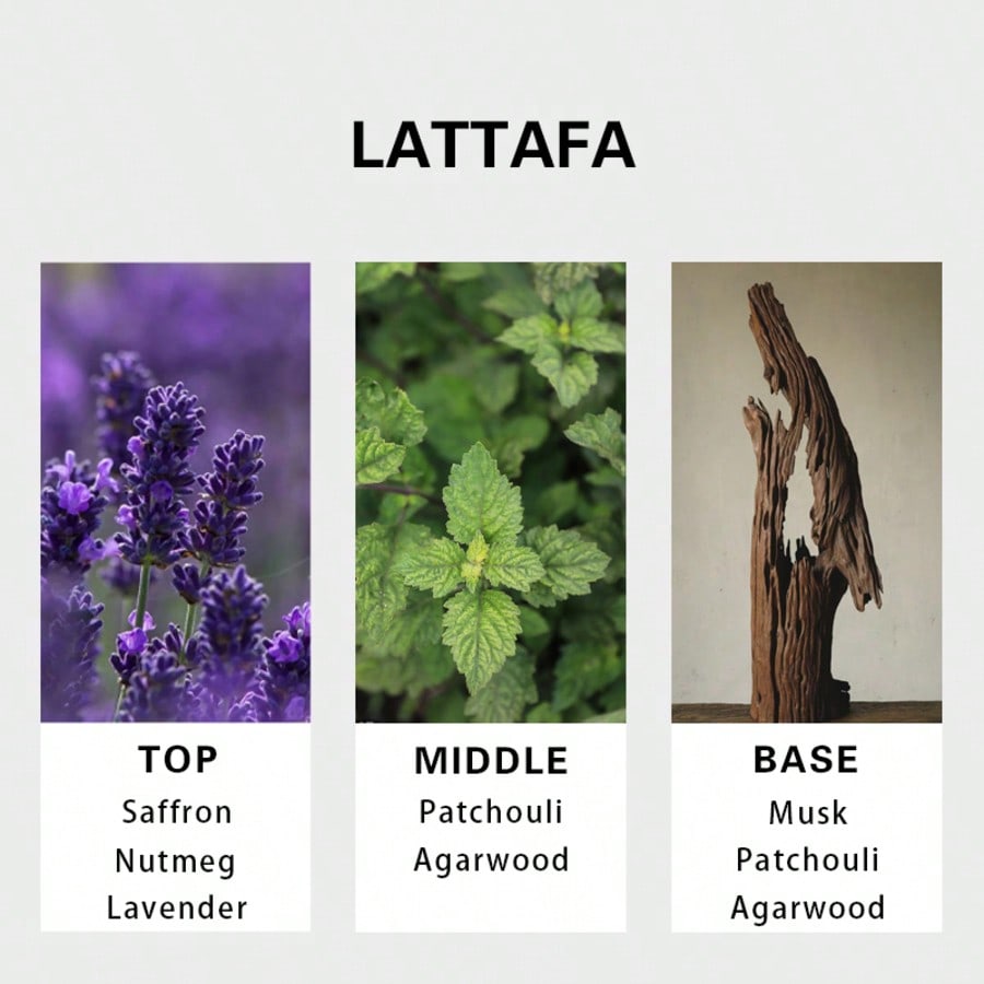Lattafa Badee Al Oud For Glory - You Perfume Fragrance reseña y precio