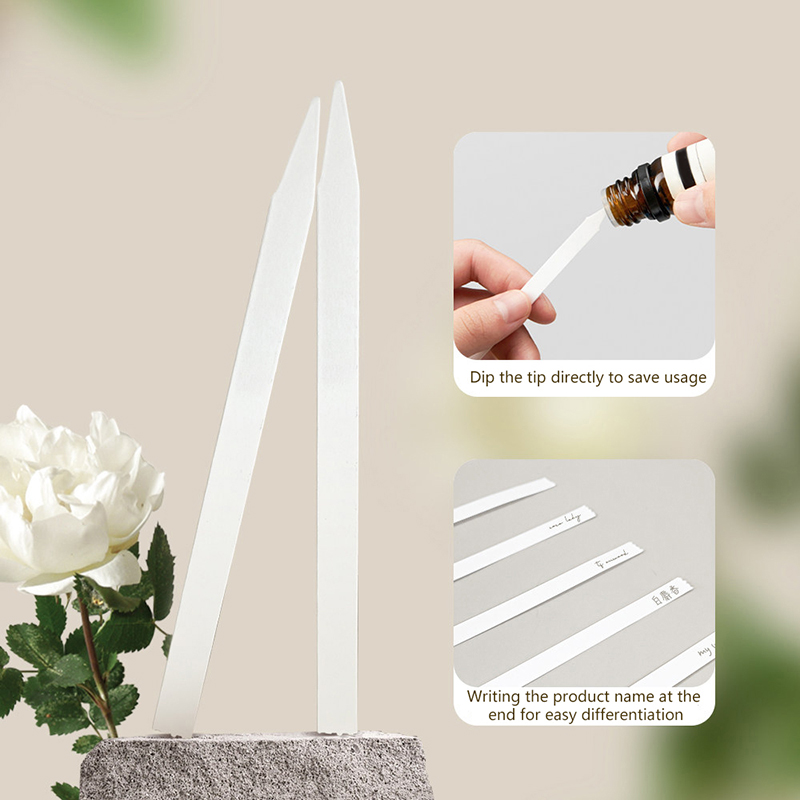 100/500 Tiras de Papel Absorbe - Fragrance World Perfume reseña y precio